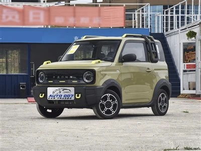 Samochód elektryczny Geely Panda